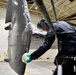 No Margin for Rust: Maintenance Keeps the Osprey Corrosion-Free