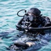 Dive Operations during Sea Breeze 26