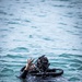 Dive Ops during Sea Breeze 26