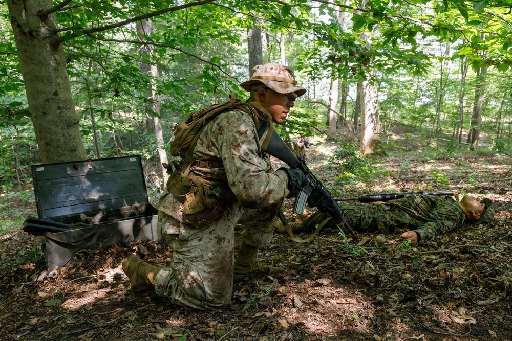 OCC 251 Company A conducts SULE 2