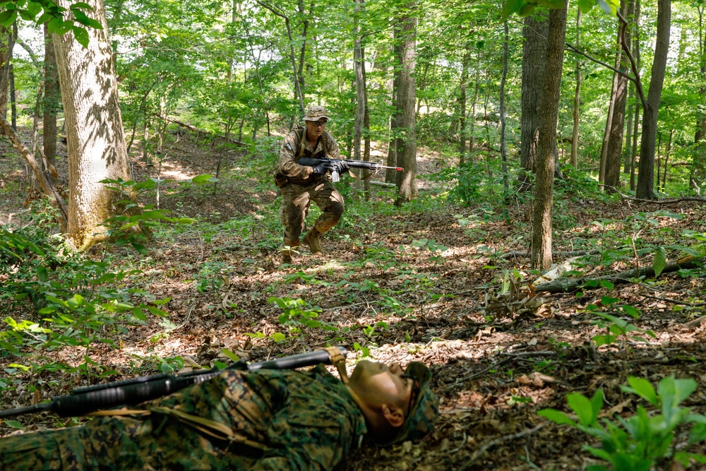 OCC 251 Company A conducts SULE 2