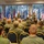 Commander, Navy Personnel Command Rear Adm. Kevin Kennedy and FORCM Bill Houlihan visit Naval Air Station Jacksonville