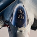 KC-135 refuels F-35Cs providing joint support