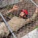 National Best Warrior Competition 2026