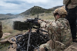 Military Health System experts collaborate with NATO partners on brain health guidelines to improve warfighter readiness
