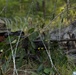 8th Engineer Support Battalion sets up for Marine Corps Combat Readiness Evaluation
