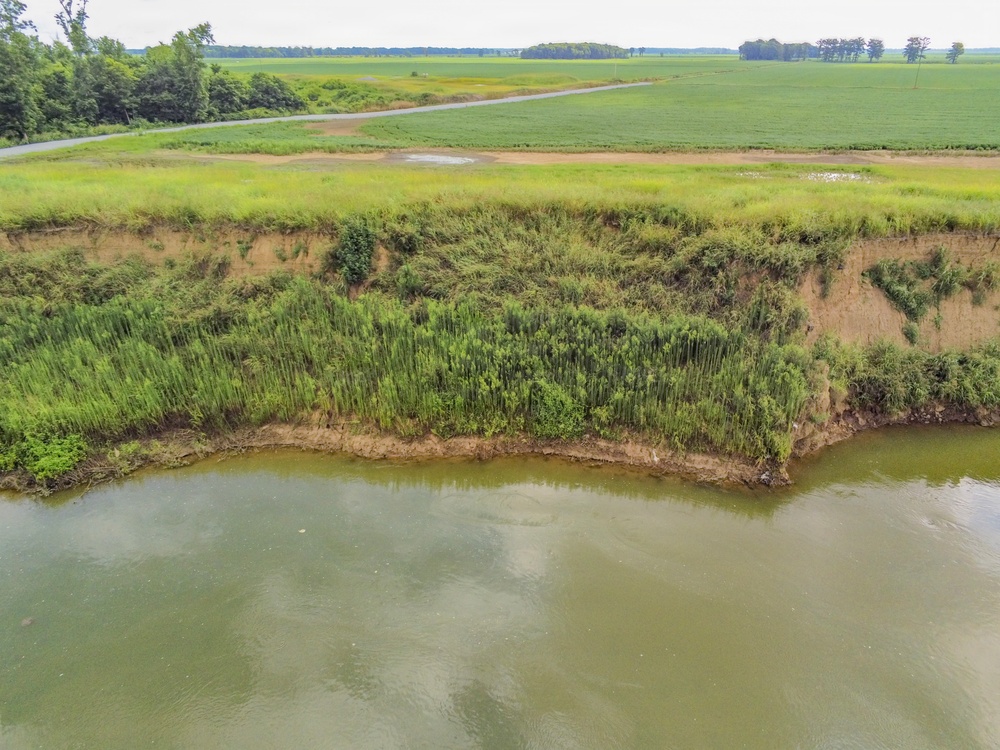 Village Creek Levee near Newport scheduled for permanent repairs