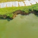Village Creek Levee near Newport scheduled for permanent repairs
