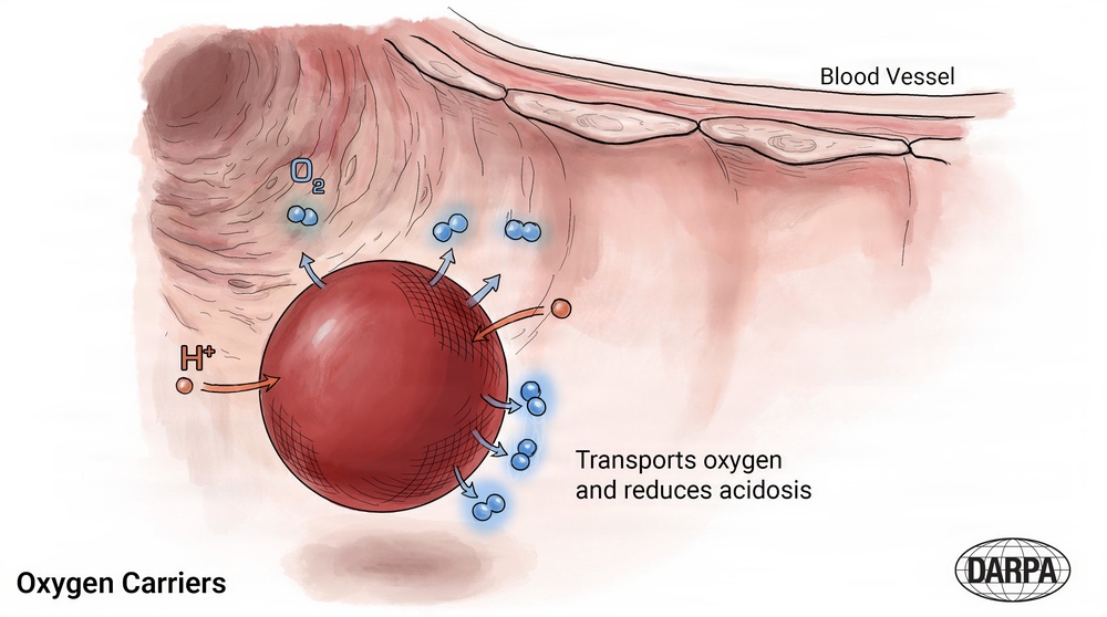 DARPA program: RAPIID - Oxygen Carriers
