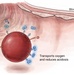 DARPA program: RAPIID - Oxygen Carriers