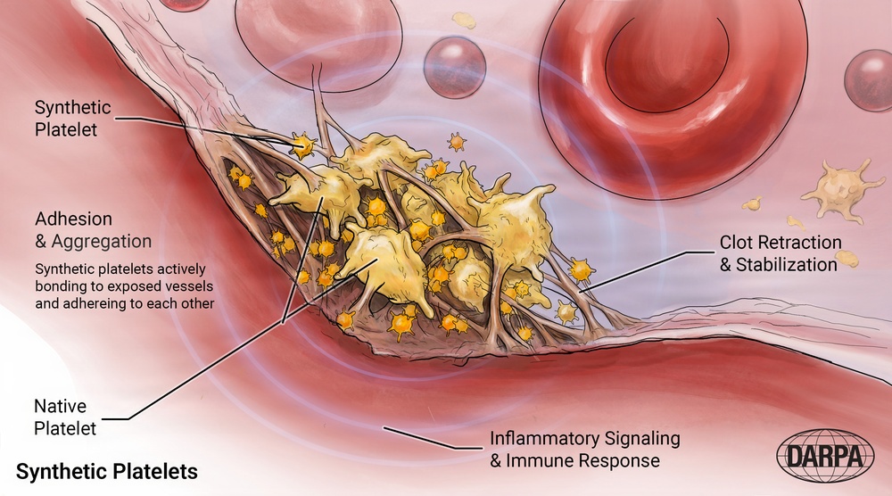 DARPA program: RAPIID - synthetic platelets