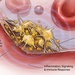 DARPA program: RAPIID - synthetic platelets