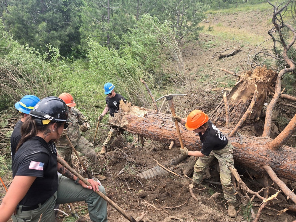 A crew of workers wearing hard hats and work gear are clearing fallen trees and debris on a hillside or slope. The team appears to be engaged in trail maintenance, storm cleanup, or wildfire mitigation work, using hand tools such as picks and pulaskis. At least one worker is wearing military-style camouflage clothing, and another has a visible American flag patch on their sleeve.