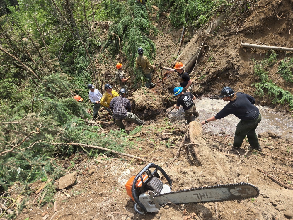 A crew of approximately eight workers is clearing debris from what appears to be a landslide or washout in a forested area. Workers are using hand tools such as shovels and picks to move soil, rocks, and downed trees. A Stihl chainsaw is visible in the foreground, likely used for cutting fallen timber.