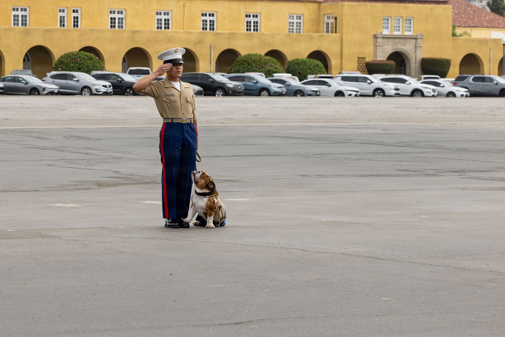 Morning Colors and Bravo Company Graduation