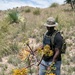 Arizona Desert Survival Training Staff Ride