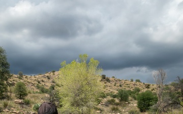 Arizona Desert Survival Training Staff Ride
