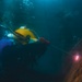 Multinational Navy divers conduct salvage training dive during RIMPAC 2026