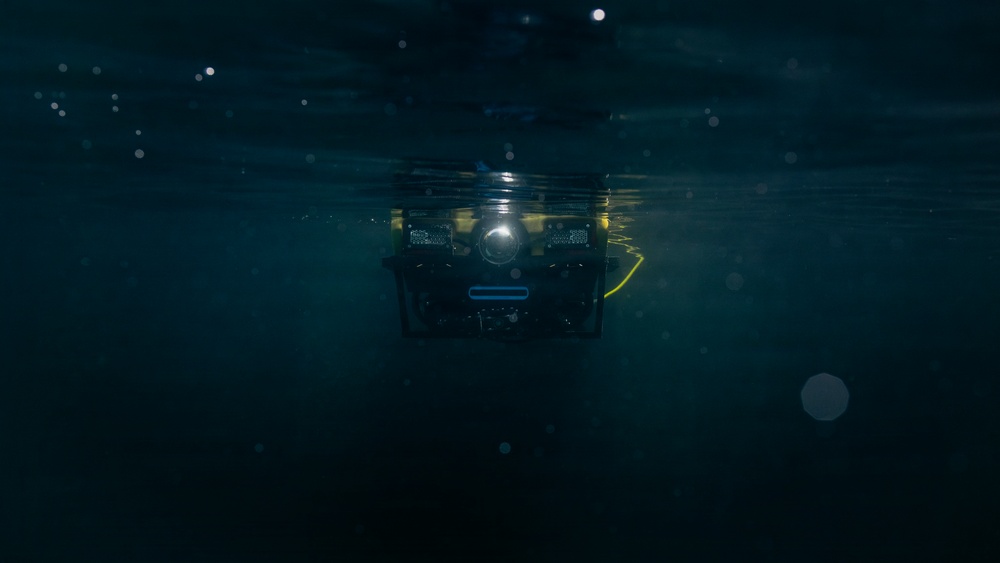 Multinational EOD technicians participate in ROV training