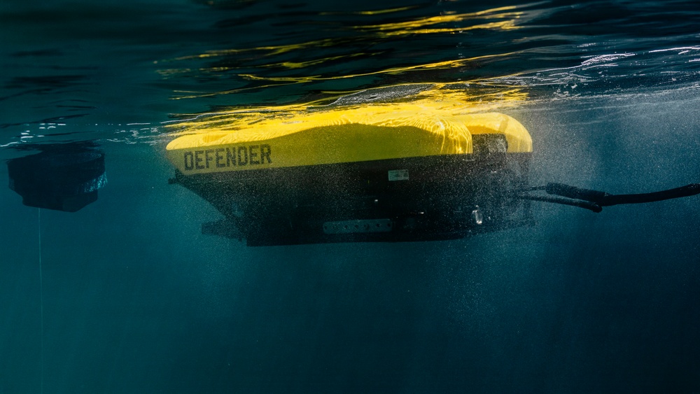 Multinational EOD technicians participate in ROV Training