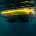 Multinational EOD technicians participate in ROV Training