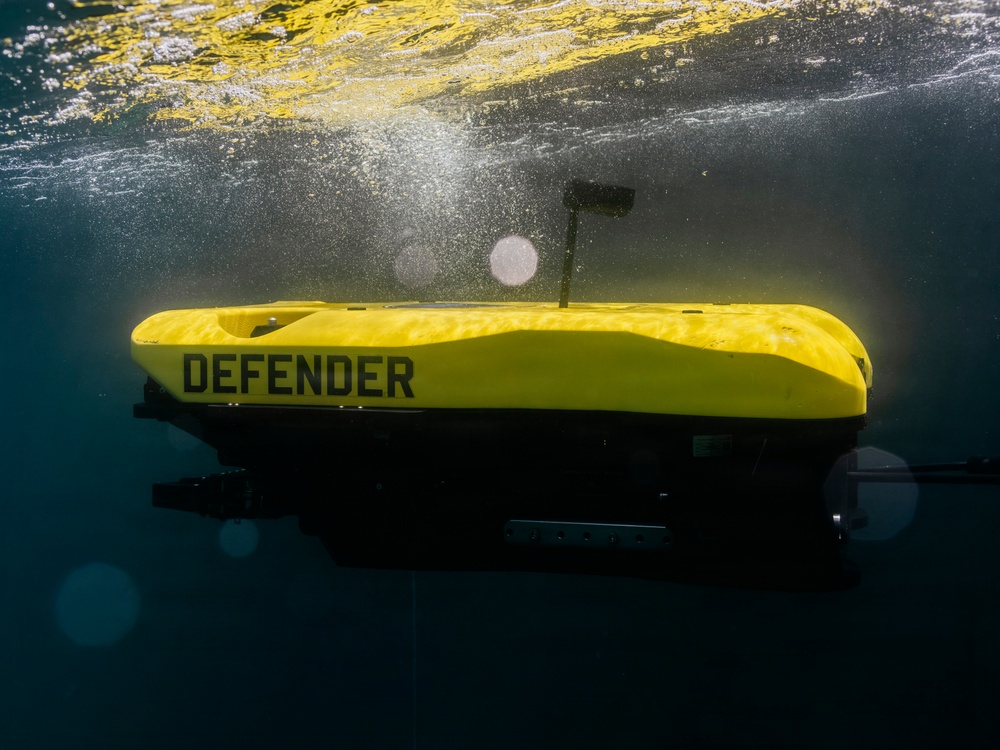 Multinational EOD technicians participate in ROV training