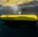 Multinational EOD technicians participate in ROV training
