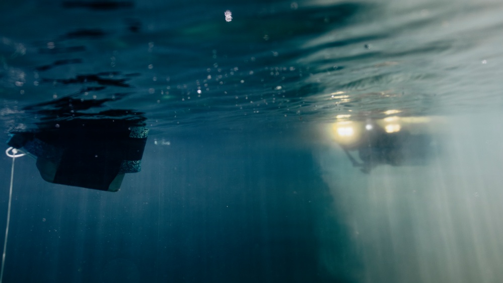 Multinational EOD technicians participate in ROV training