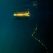 Multinational EOD technicians participate in ROV training