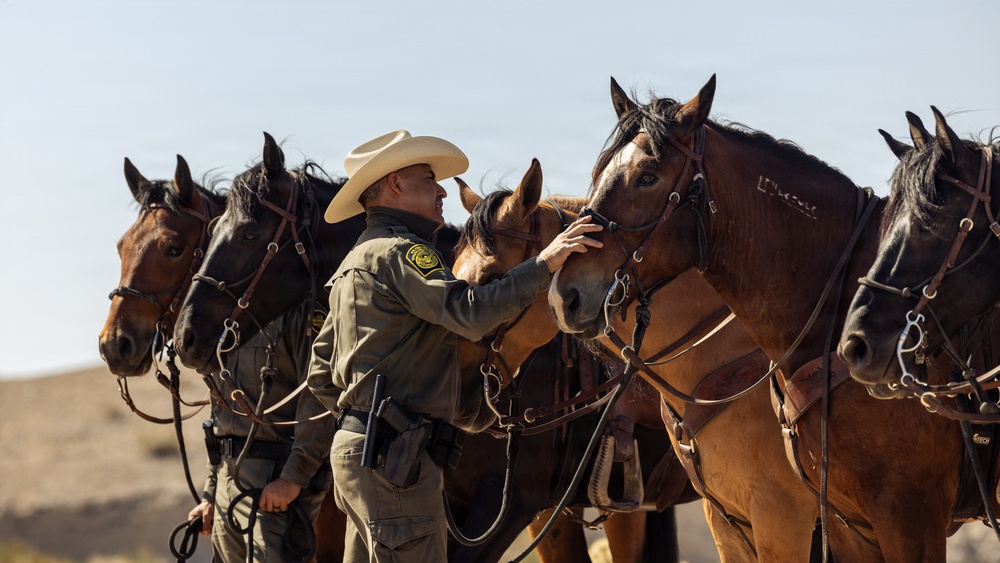 JTF-SB Marines and U.S. Border Patrol saddle-up during interagency training