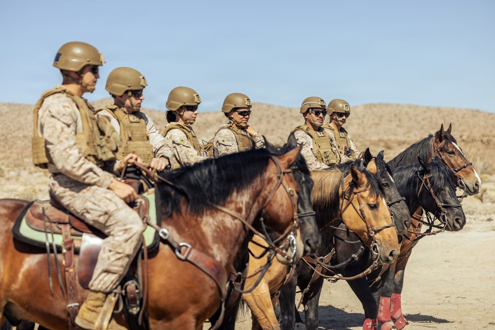 JTF-SB Marines and U.S. Border Patrol saddle-up during interagency training