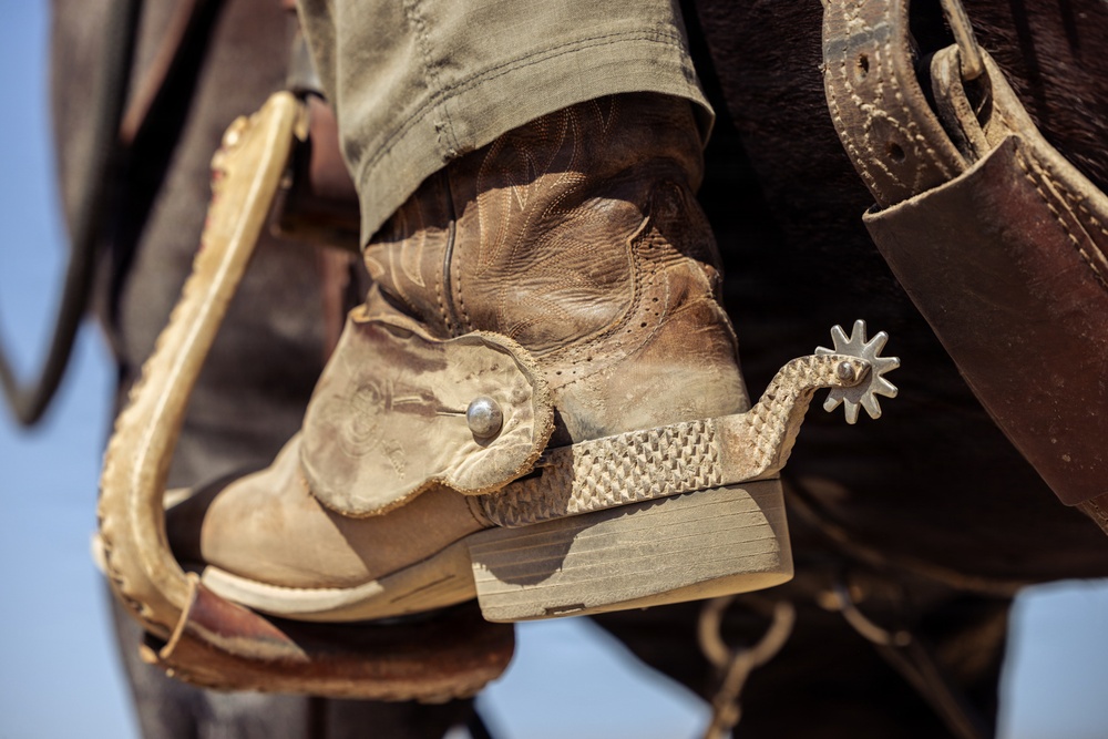 JTF-SB Marines and U.S. Border Patrol saddle-up during interagency training