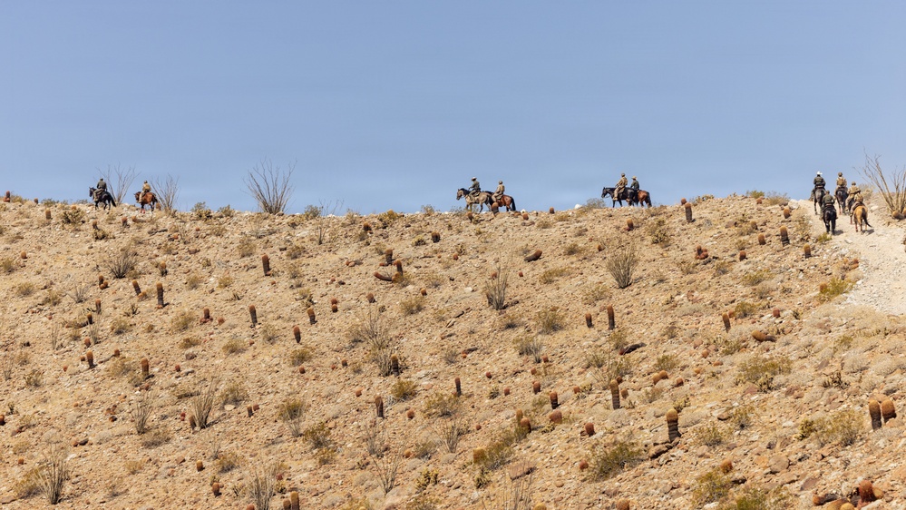 JTF-SB Marines and U.S. Border Patrol saddle-up during interagency training