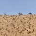 JTF-SB Marines and U.S. Border Patrol saddle-up during interagency training