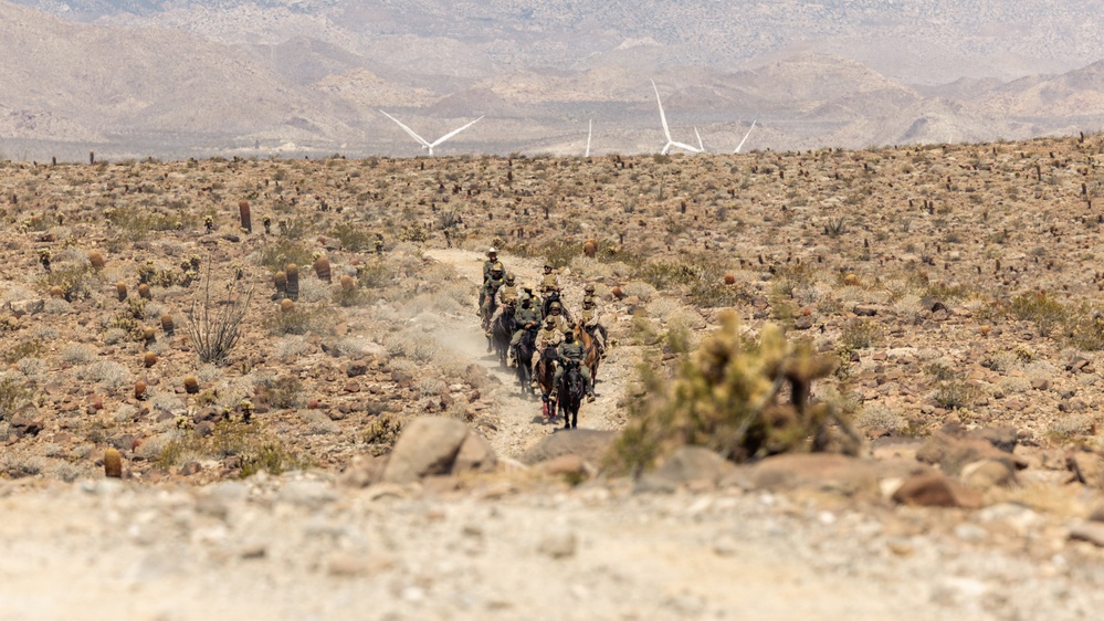 JTF-SB Marines and U.S. Border Patrol saddle-up during interagency training