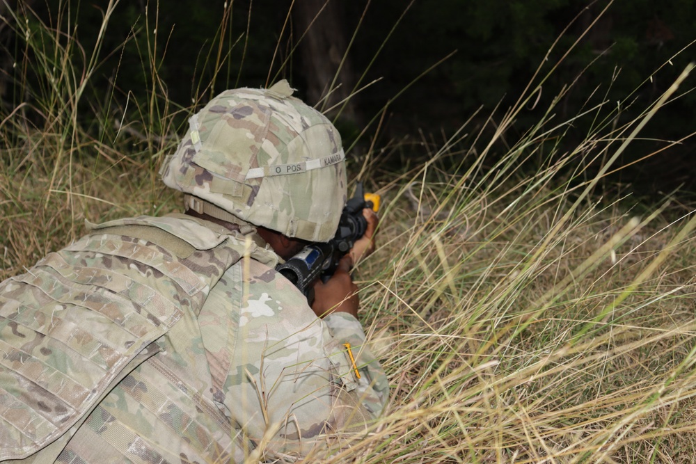 Operation Grizzly Shield