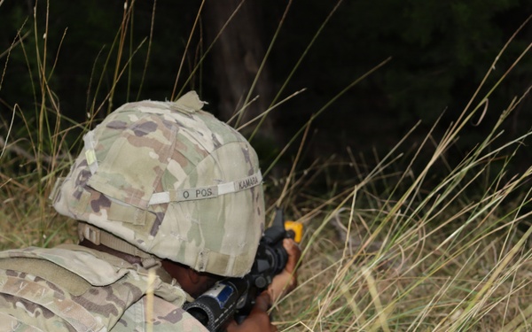 Operation Grizzly Shield