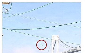 Fort Hamilton Cannon Salute Goes Viral After ‘Kamikaze Squirrel’ Leaps Onto Soldier During Sail4th 250