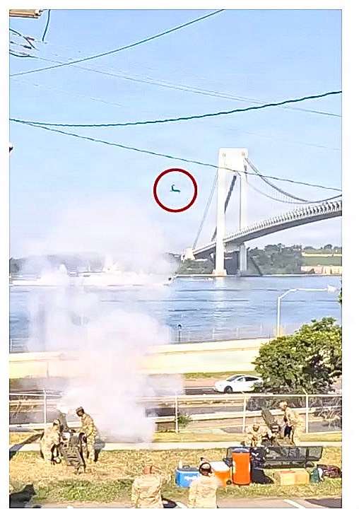 Fort Hamilton Cannon Salute Goes Viral After ‘Kamikaze Squirrel’ Leaps Onto Soldier During Sail4th 250