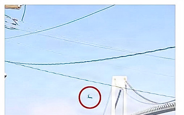 Fort Hamilton Cannon Salute Goes Viral After ‘Kamikaze Squirrel’ Leaps Onto Soldier During Sail4th 250