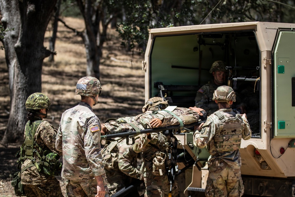 Operation Bold Eagle: Through the Lens at Evanescence(Training Area)