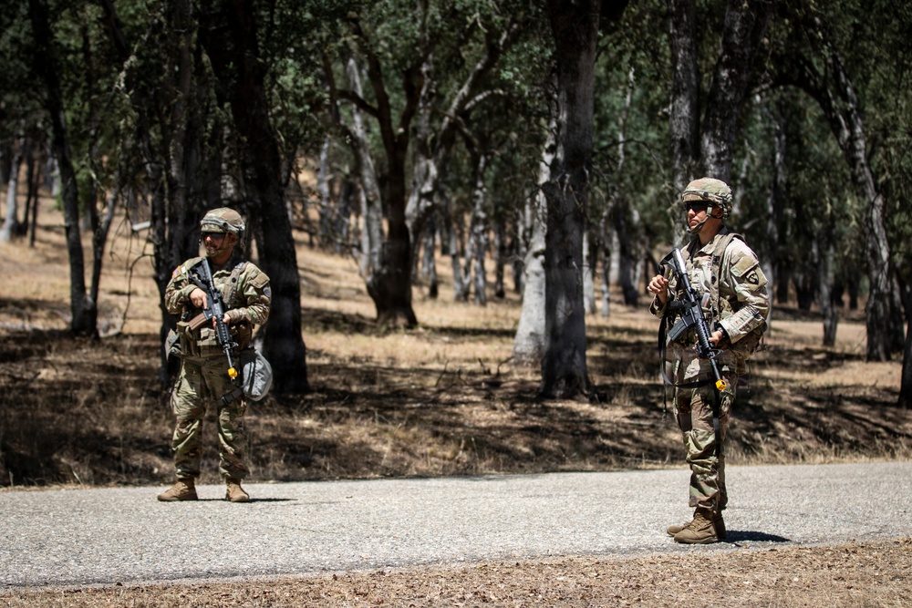Operation Bold Eagle: Through the Lens at Evanescence(Training Area)