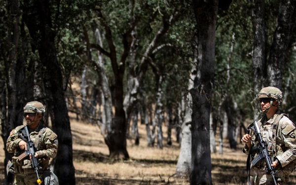 Operation Bold Eagle: Through the Lens at Evanescence(Training Area)