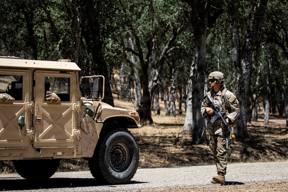 Operation Bold Eagle: Through the Lens at Evanescence(Training Area)