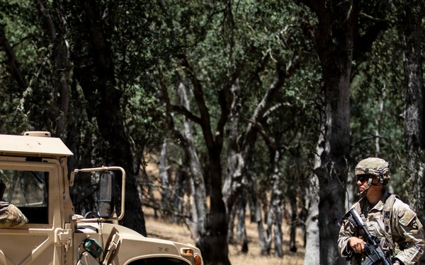 Operation Bold Eagle: Through the Lens at Evanescence(Training Area)
