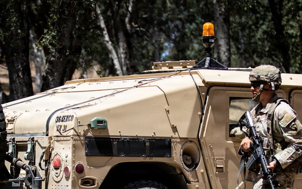 Operation Bold Eagle: Through the Lens at Evanescence(Training Area)