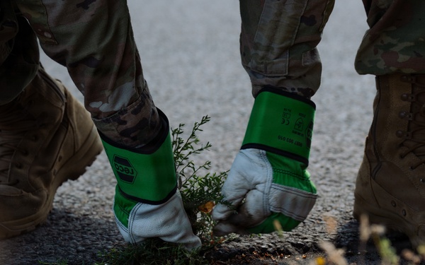 786th CES Airmen teamwork drives Ramstein’s beautification efforts