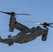 CRE: U.S. Marines Commence Retrograde from Venezuela