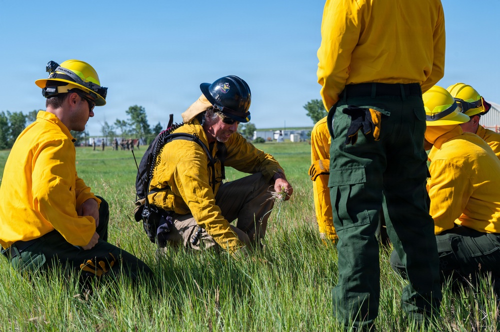 Malmstrom firefighters partner with AFCEC to conduct prescribed burn, support installation readiness