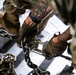 CRE: U.S. Marines Commence Retrograde from Venezuela